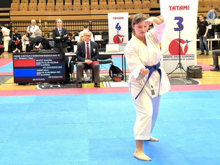 karate-klub-mirna-pec
