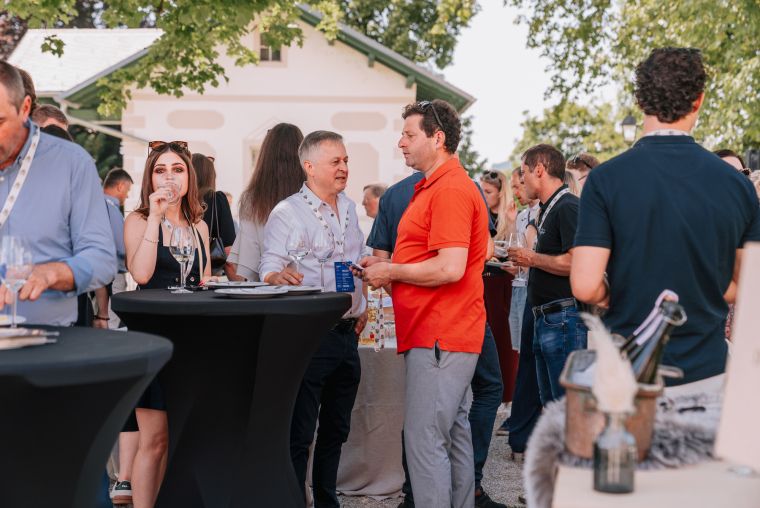 mislim-modro-x-buticni-festival-modre-frankinje-2026