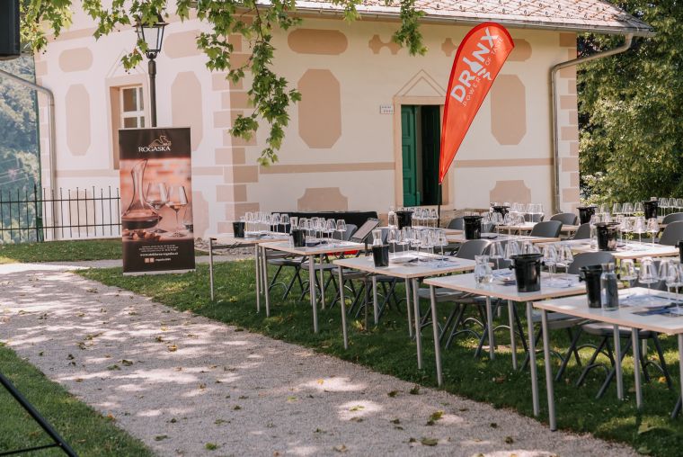 mislim-modro-x-buticni-festival-modre-frankinje-2026