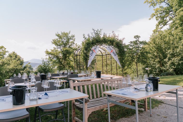 mislim-modro-x-buticni-festival-modre-frankinje-2026