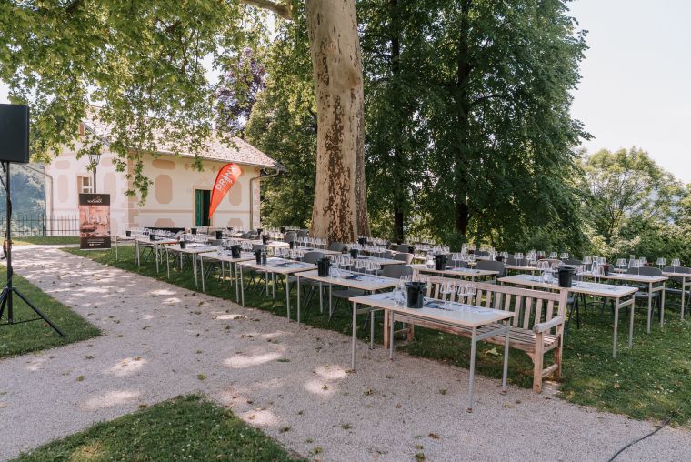mislim-modro-x-buticni-festival-modre-frankinje-2026