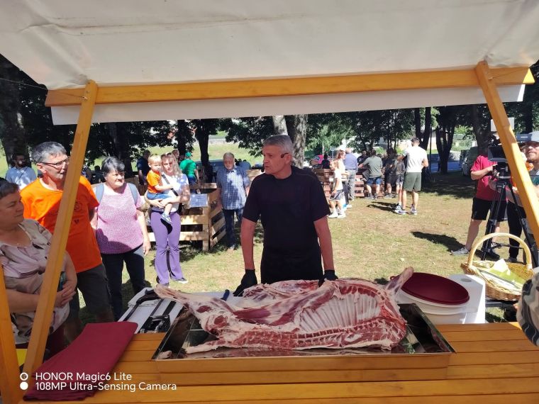 31-razstava-ovc-in-koz-ter-revija-pastirskih-psov