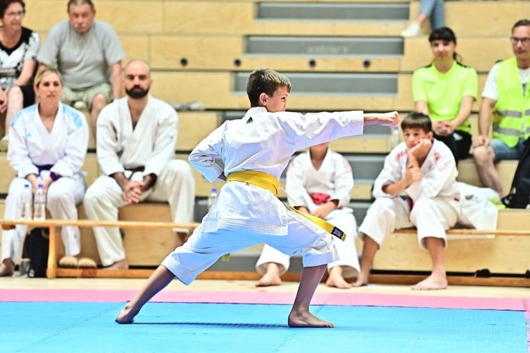 Karate tekmovanje v Sportni dvorani Osnovne sole Toneta Pavcka