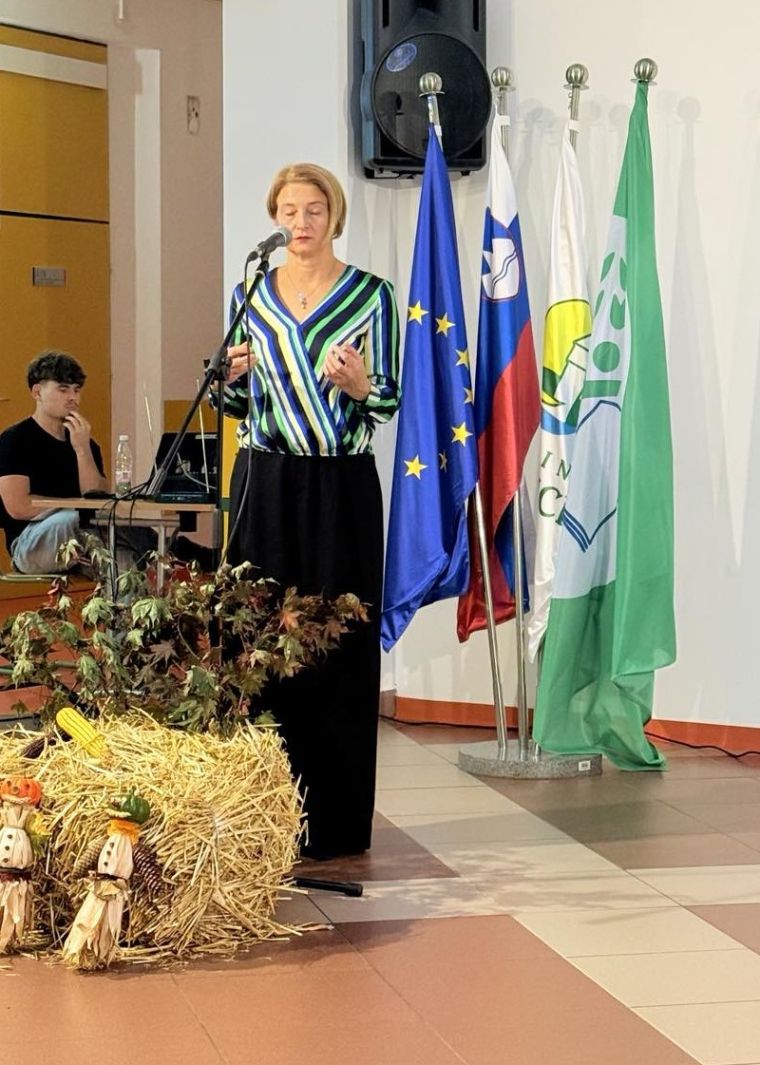 sic-brezice, ekolistina