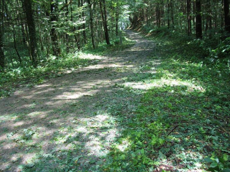 img_8527_000.jpg