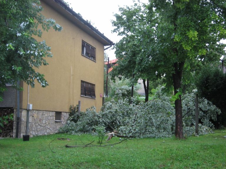 img_5904.jpg