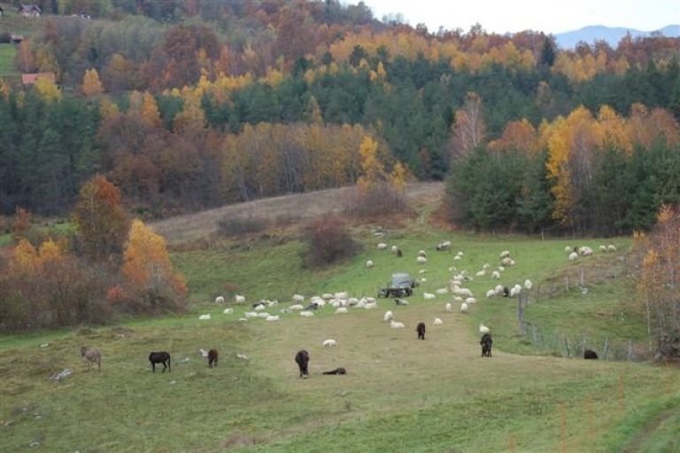 5_nov_051.jpg
