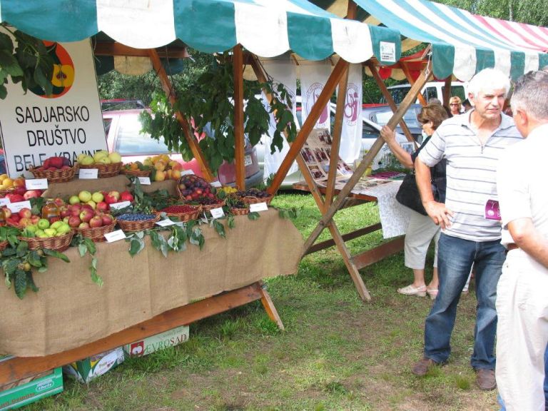 img_5406_2_1_000.jpg