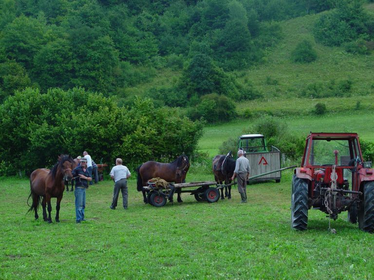 dsc04981_000.jpg