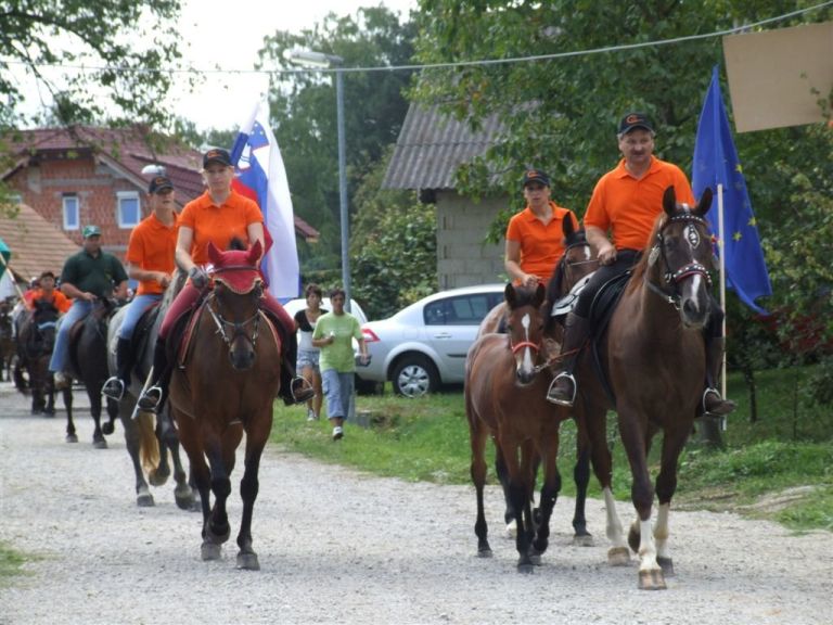 _egnanje_arti_e2009_01.jpg