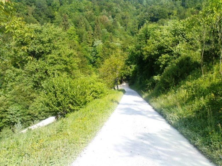 kostanjevica_prej.jpg