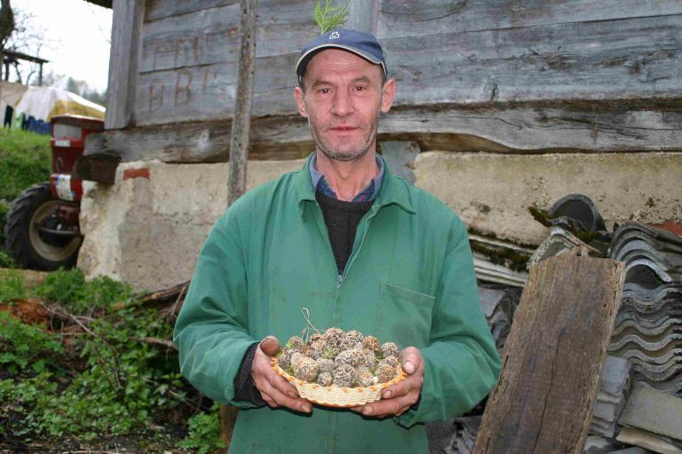 stefan_kelvisar.jpg