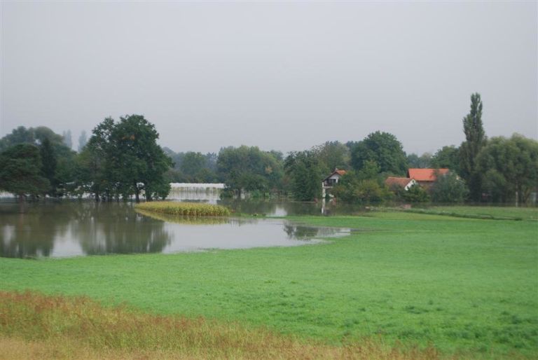 dsc_0015_000.jpg