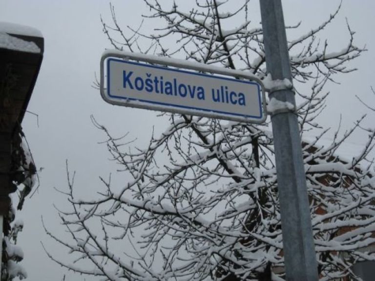 kosti_002.jpg