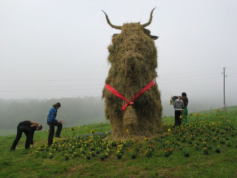 rjave_krave0002_1.jpg