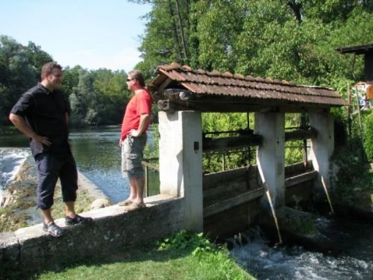 ribogojnica_dvor.jpg