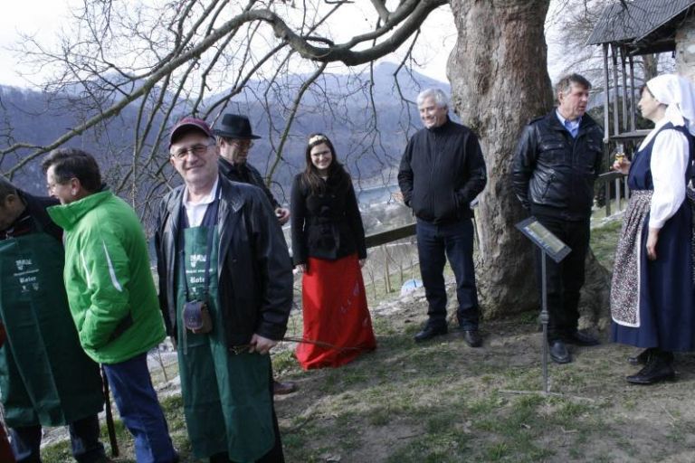 grajska_rez_v_sevnici001.jpg