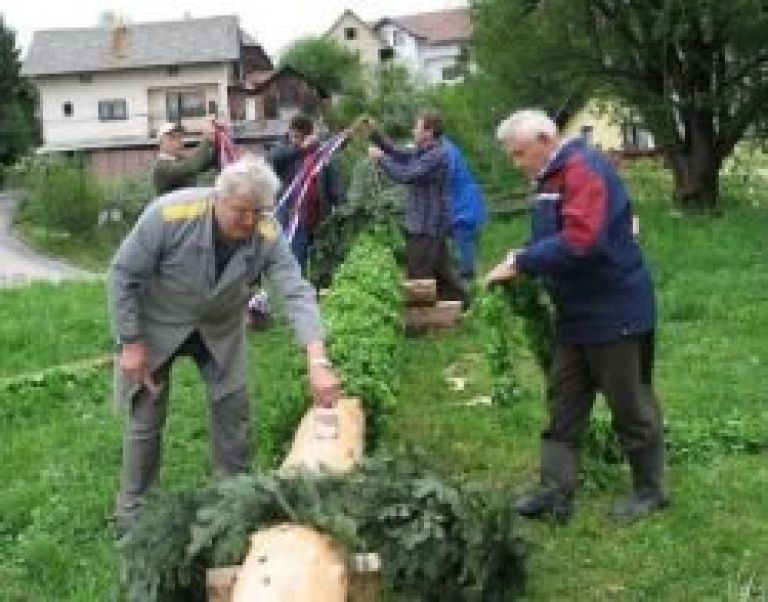 gotna_vas_mlaj09.jpg