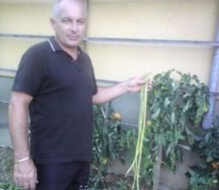 fizol1_g5.jpg