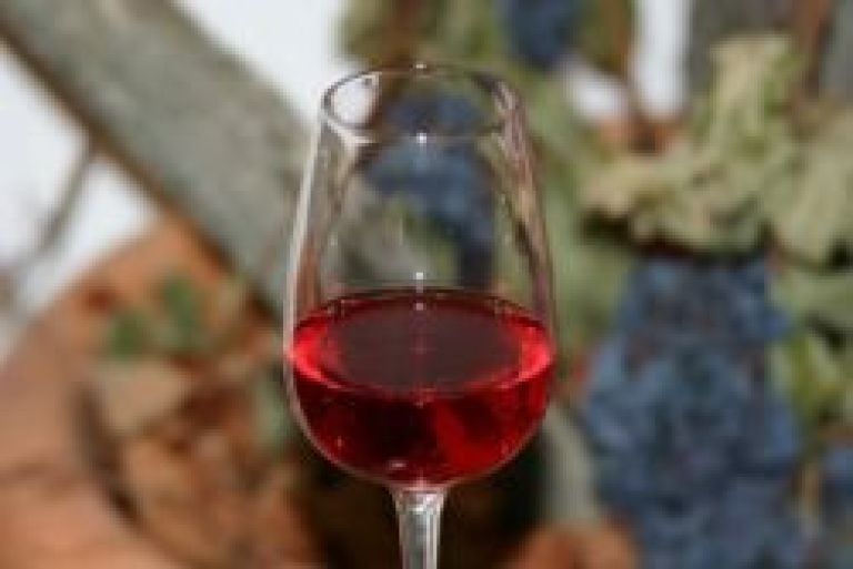 cvicek_kozarec.jpg