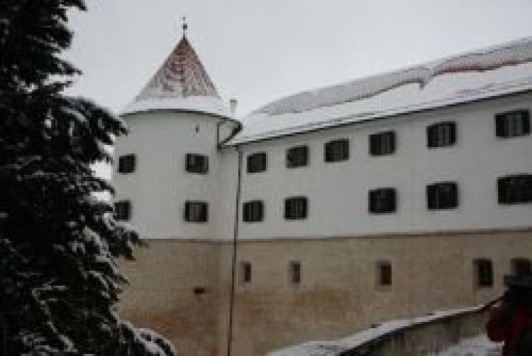 mokrice1.jpg