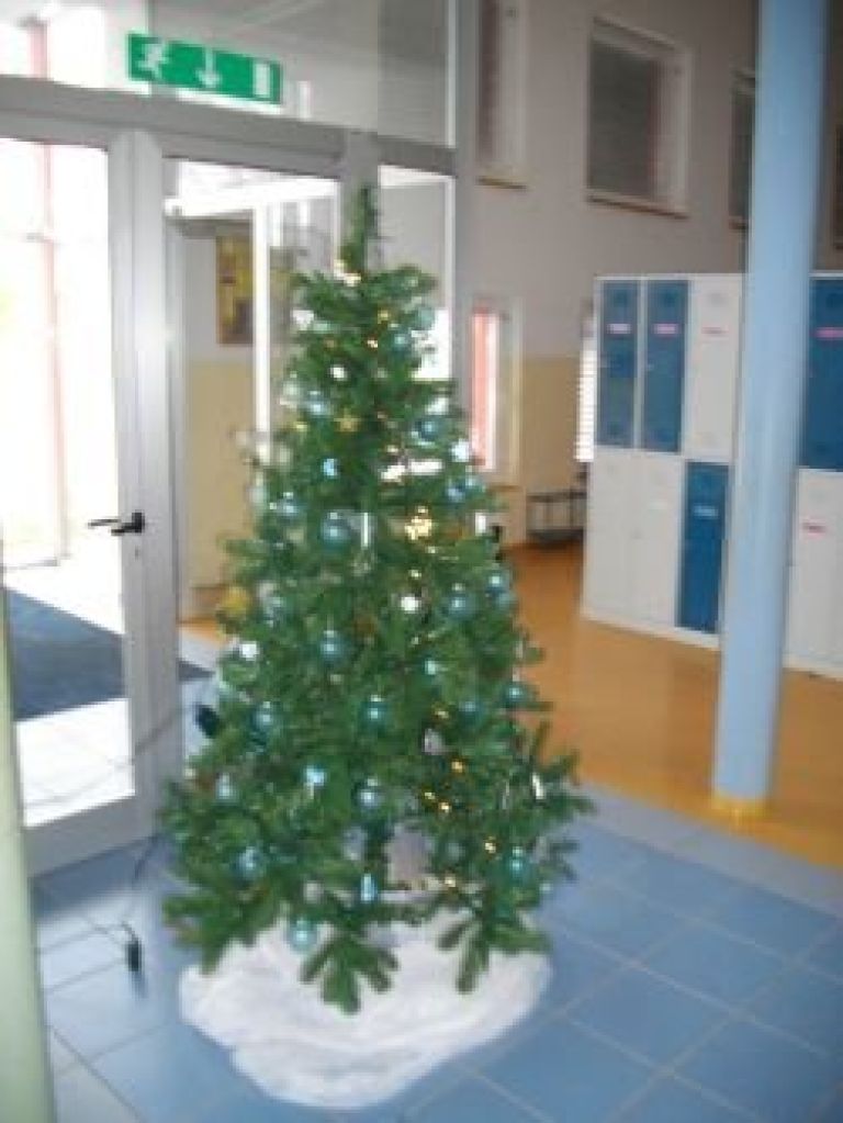 imgp0230.jpg