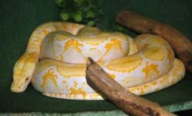 zoo_117.jpg