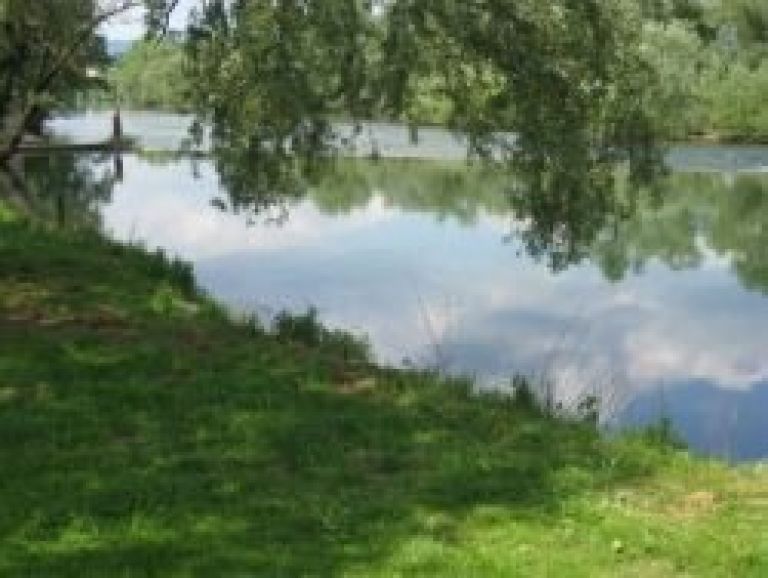 kolpa_1.jpg