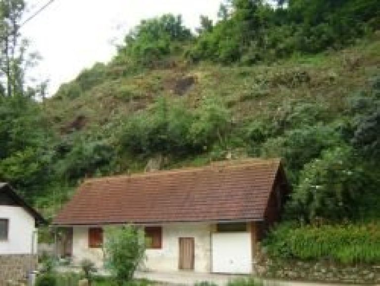 golosek1.jpg