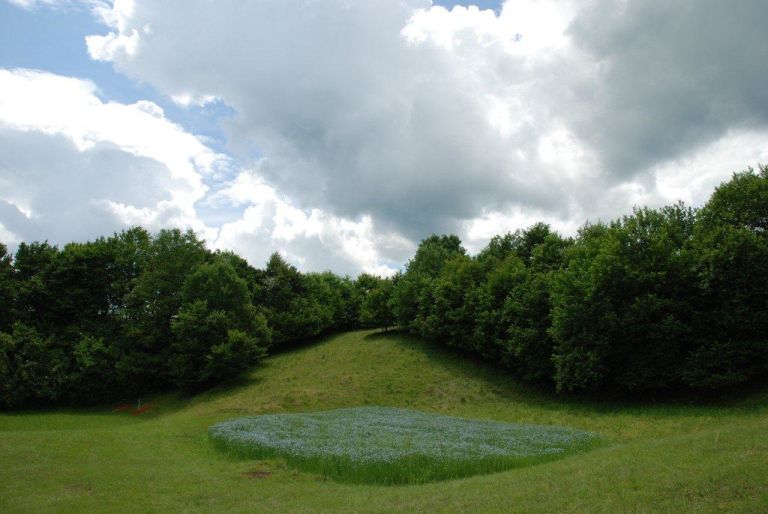 lan11_039.jpg