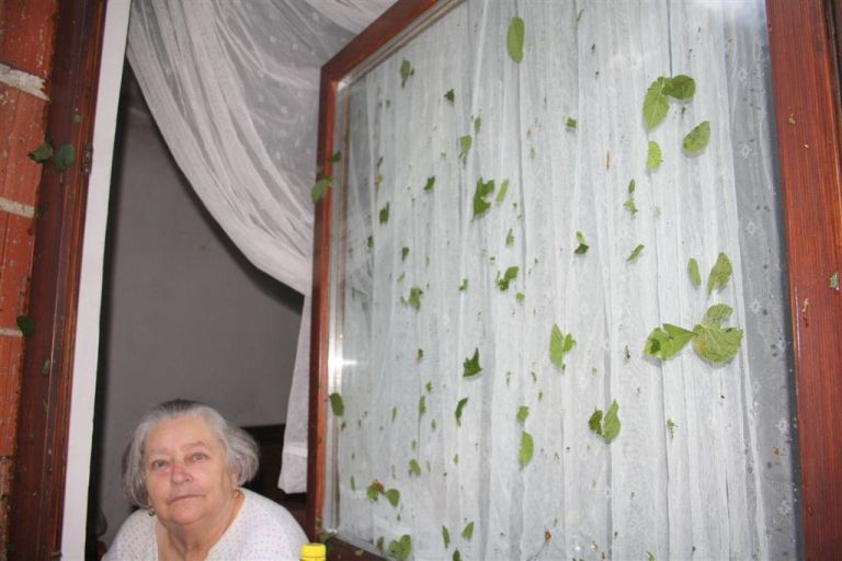 bizeljsko_neurje__11_.jpg