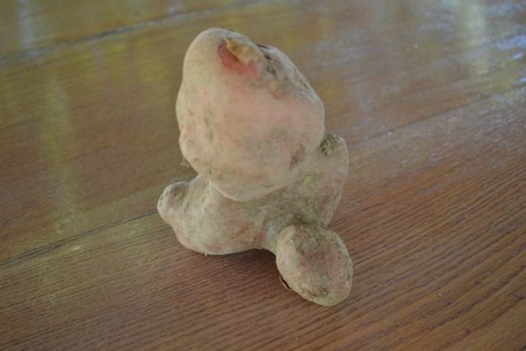 dsc_0046_000.jpg