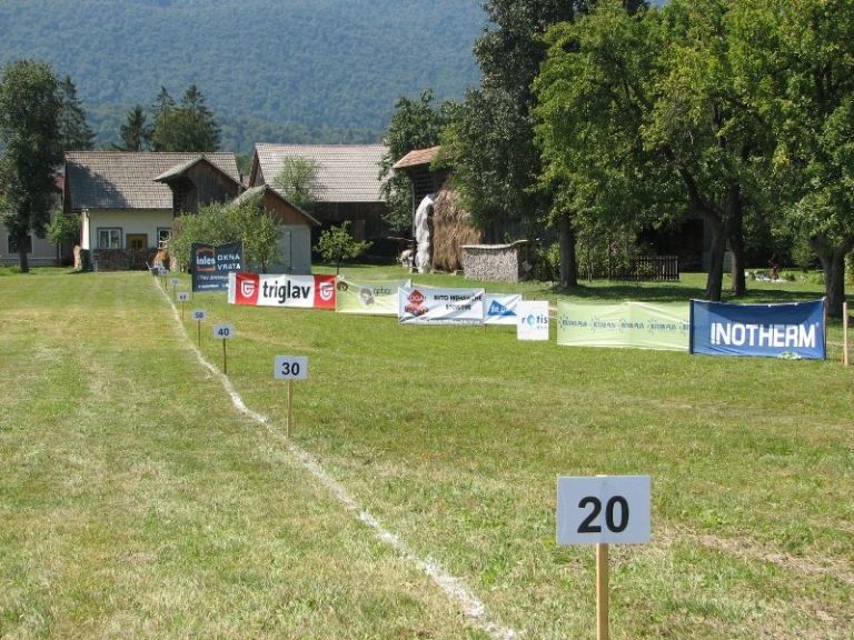 met_krompirja_2011_02.jpg