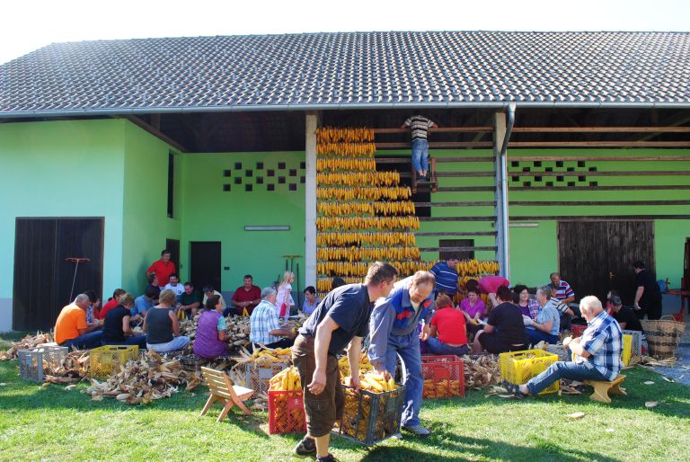 kozehanje_004.jpg