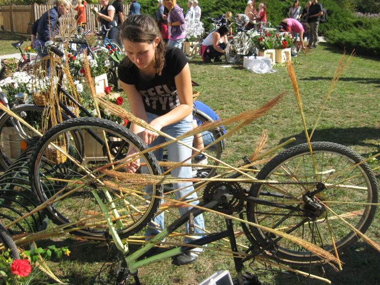 morje2011_1003.jpg