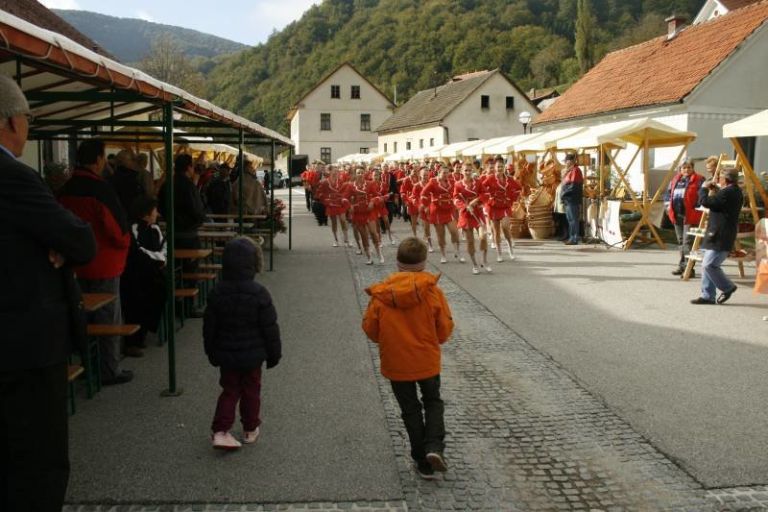 12__praznik_kozjanskega_jabolka002.jpg