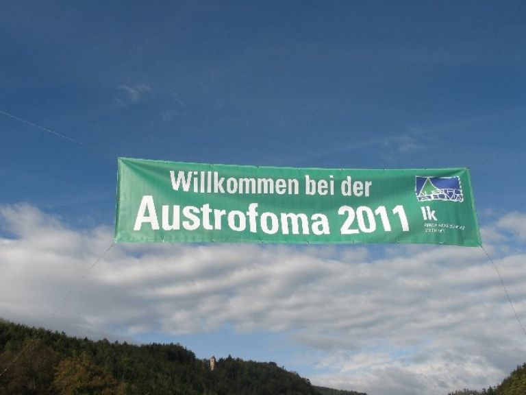 austrofoma02.jpg