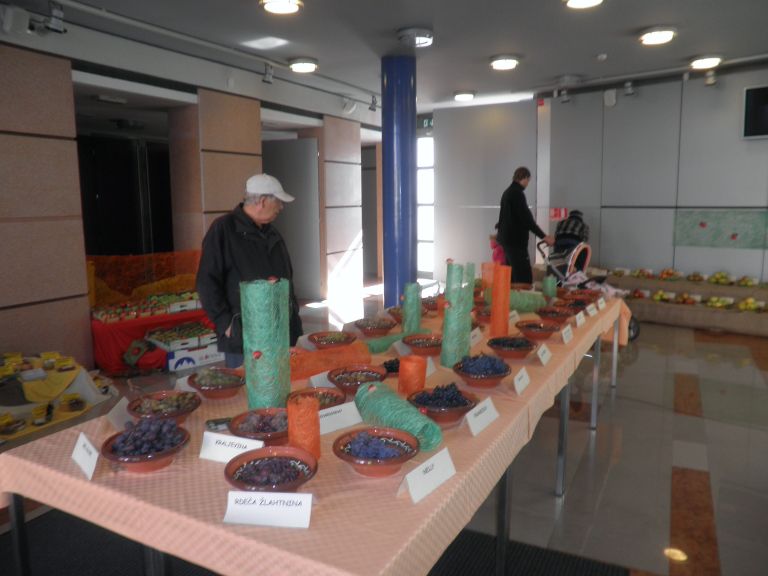pa150024_000.jpg