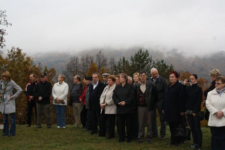 cvibelj02.jpg