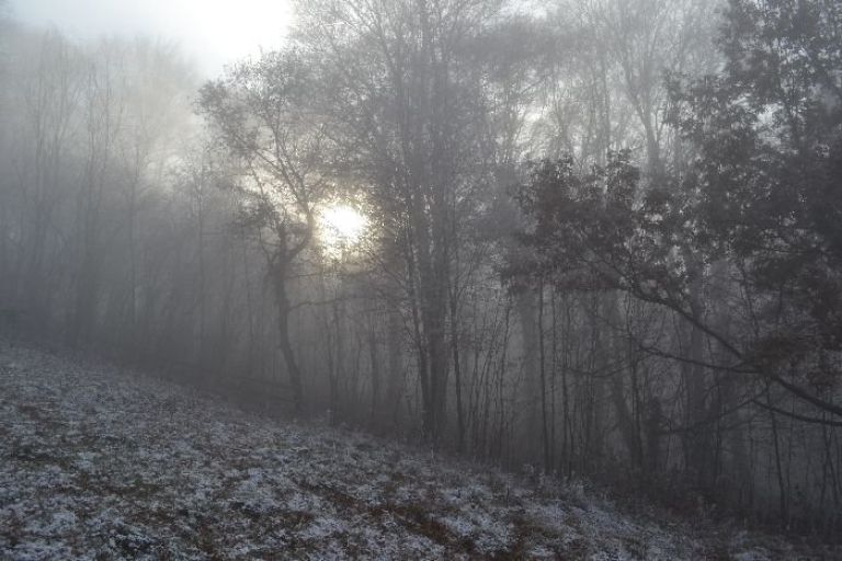 dsc_0020_000.jpg