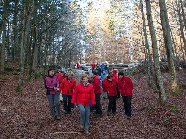 img_2387.jpg