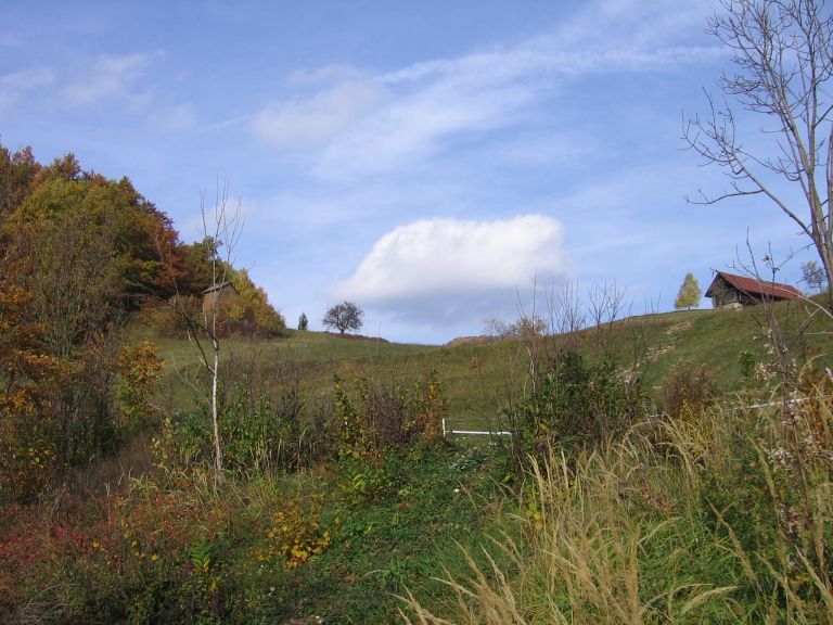 kmetija_001.jpg