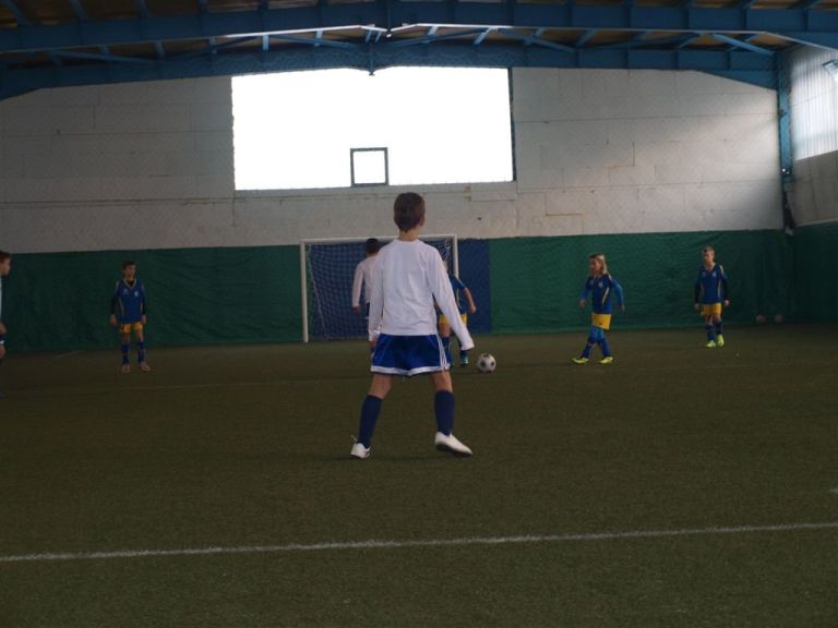 p1142604_000.jpg