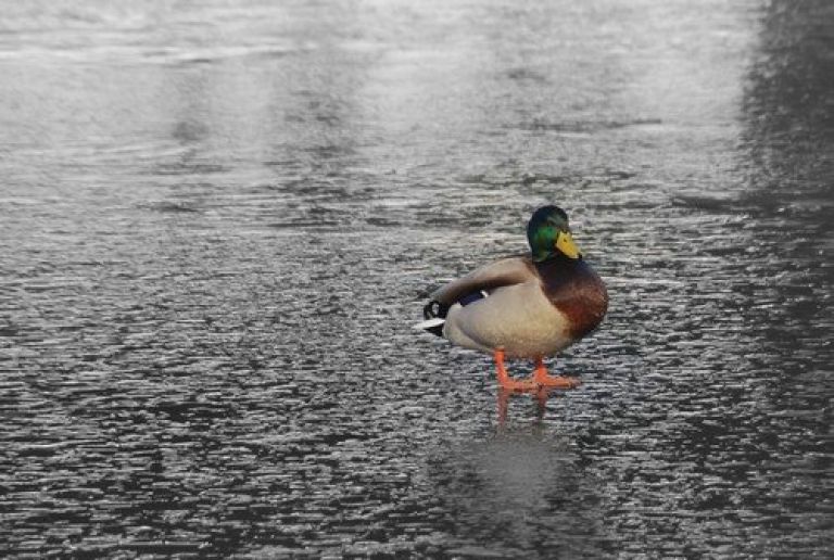 dsc_0255_000.jpg