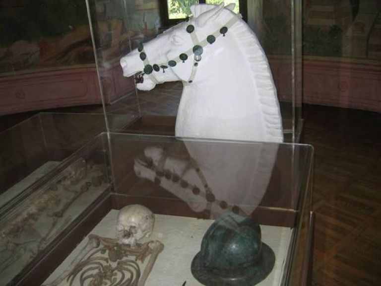 roman_zak__ek_02.jpg