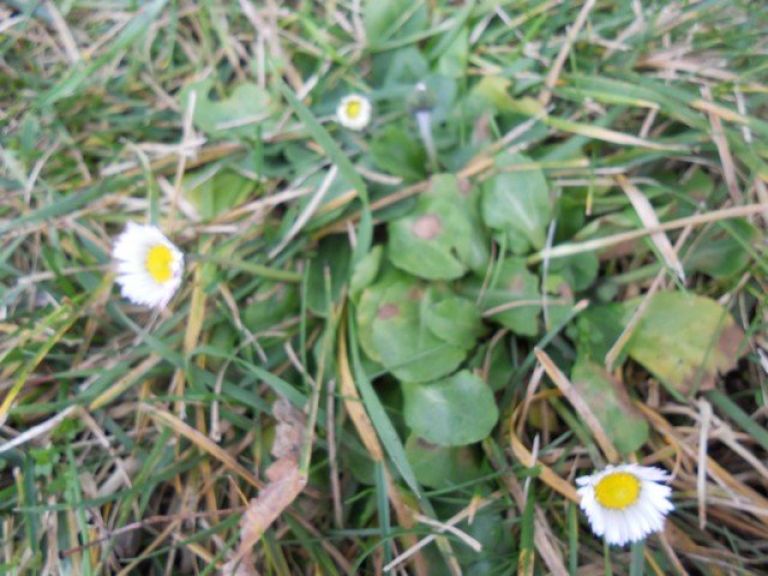 dscn0643_000.jpg