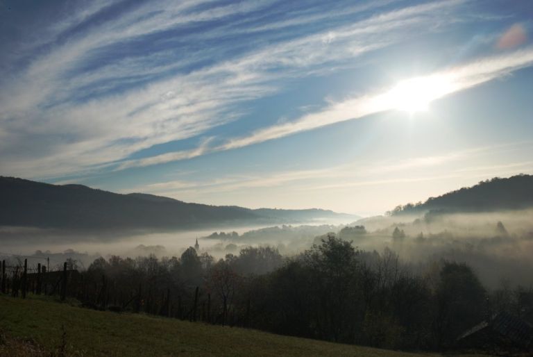 aao_018.jpg