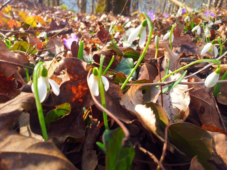 2012_03_04_16_16_32.jpg