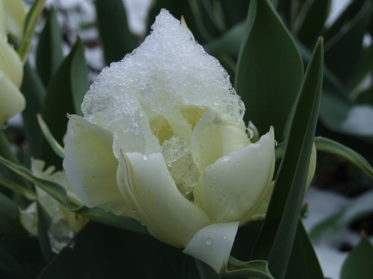 dscf9614_000.jpg