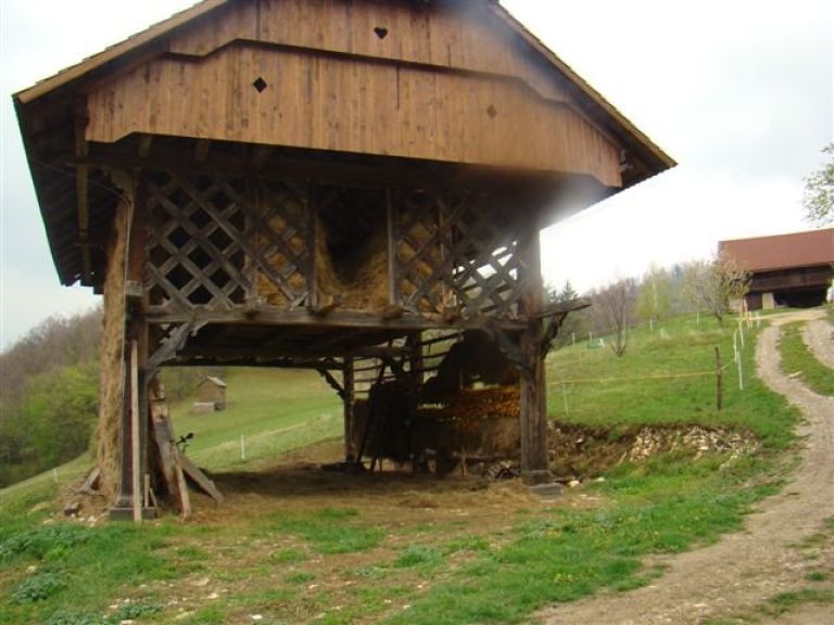dsc05045_000.jpg
